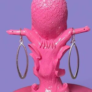 Chic Silver Oval Drop Earrings